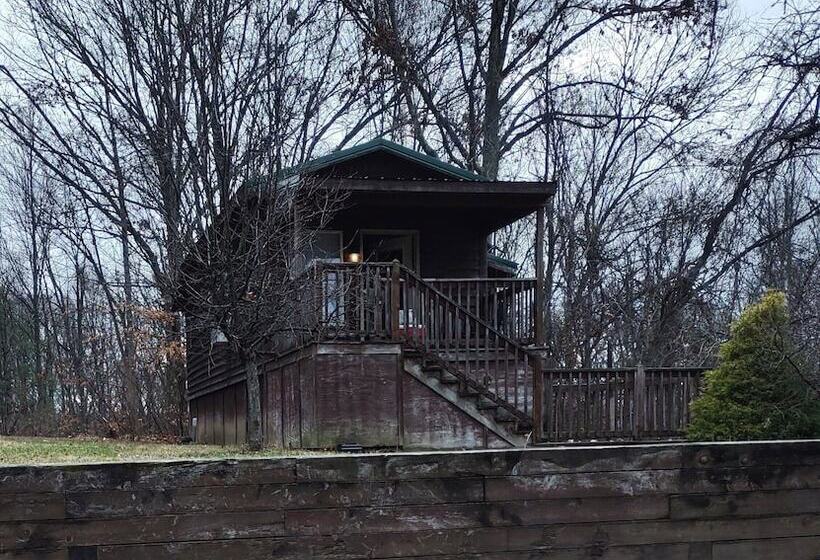 호텔 Harmony Tree Resorts Inc