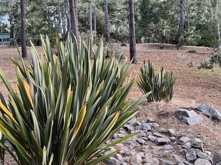 فندق Lodge At Marconi