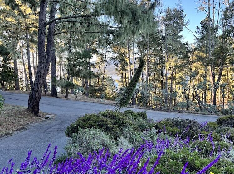 فندق Lodge At Marconi