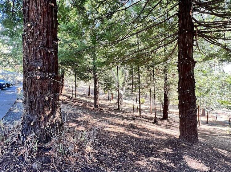 فندق Lodge At Marconi