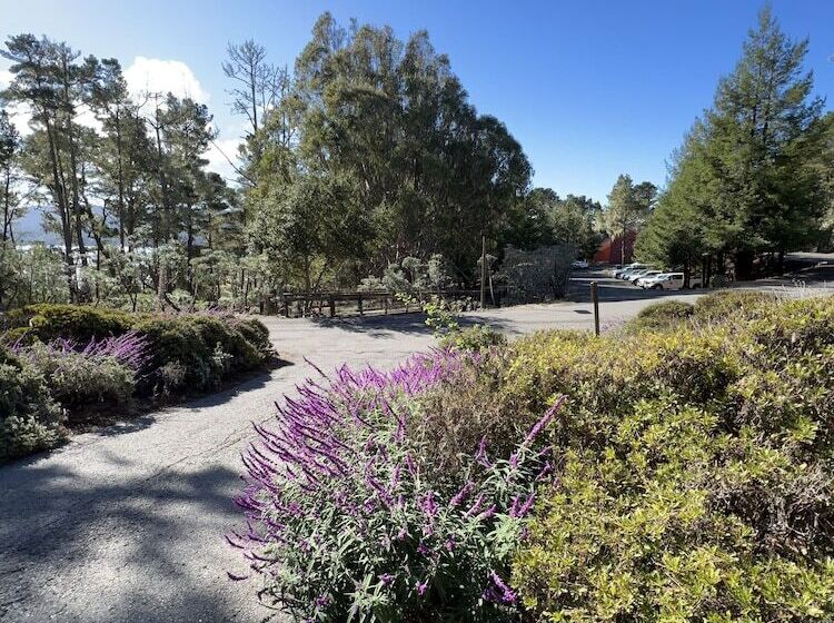 فندق Lodge At Marconi