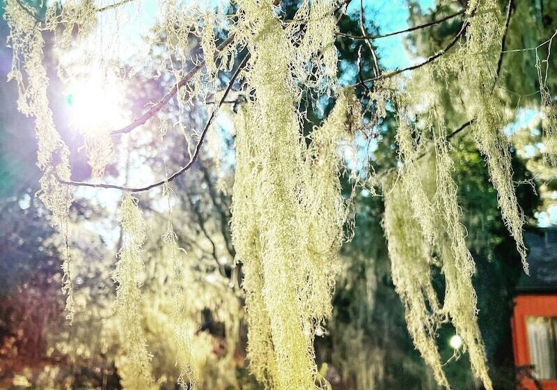 فندق Lodge At Marconi