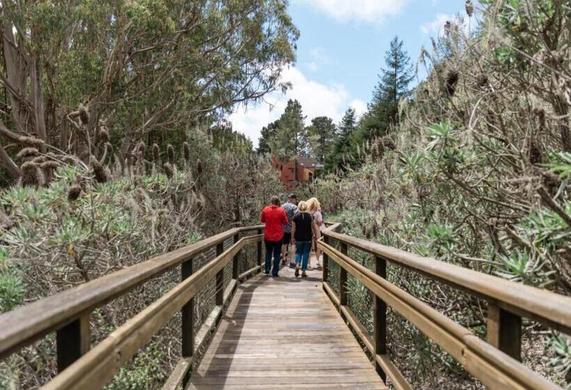 فندق Lodge At Marconi