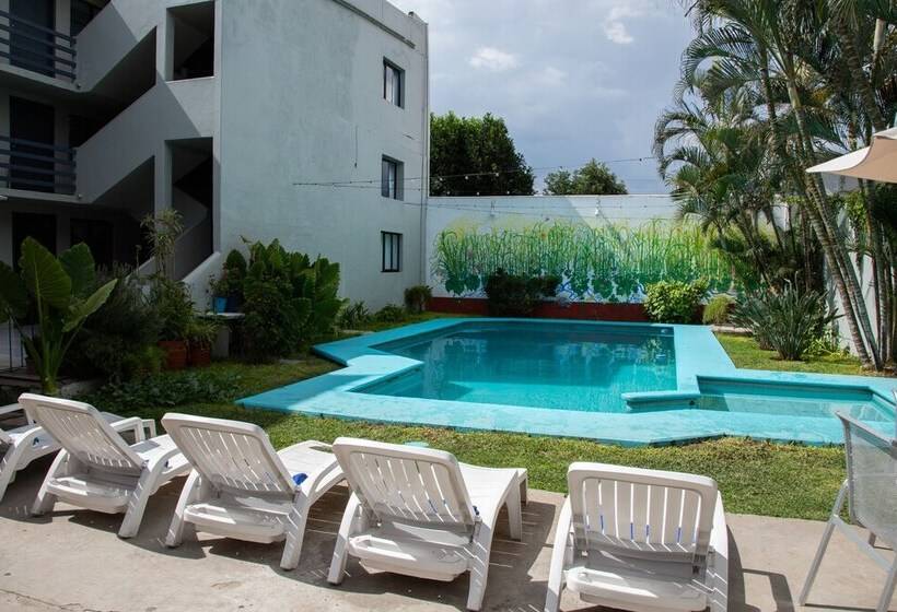 فندق Marqués Oaxaca