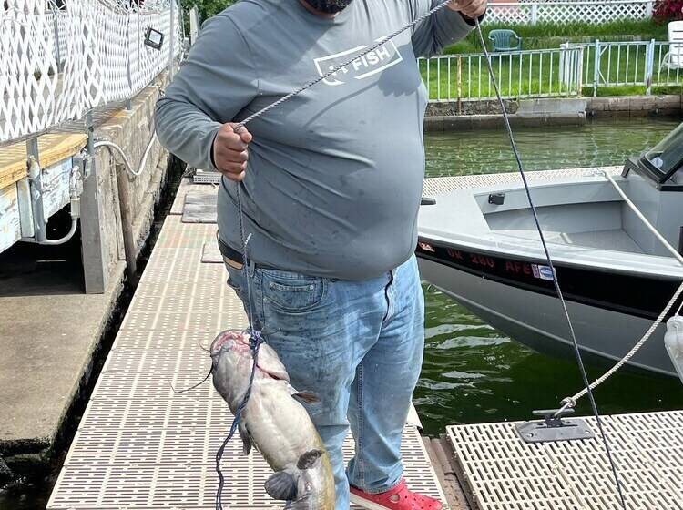 호텔 Omeo Clearlake Oaks