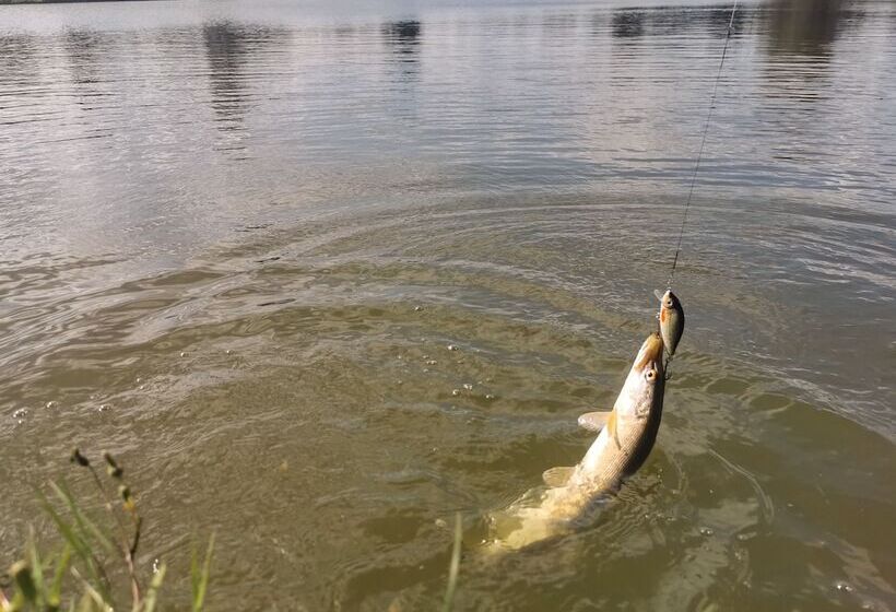 호텔 Omeo Clearlake Oaks