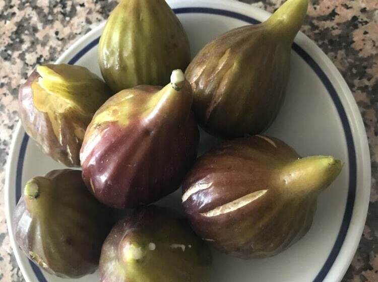 בית מלון כפרי Fuccioli Ii