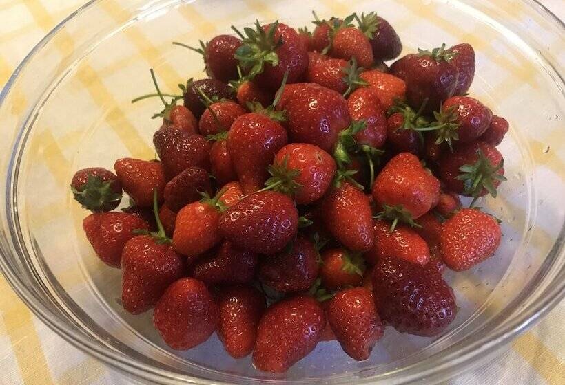 בית מלון כפרי Fuccioli Ii