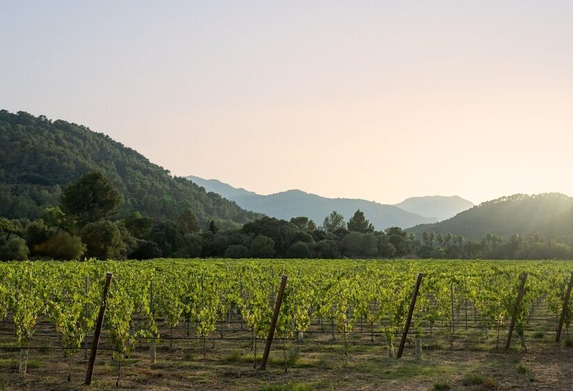 교외 호텔 Rondaia Suites & Villas