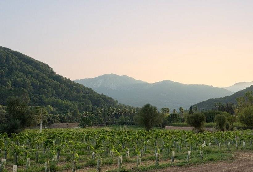 교외 호텔 Rondaia Suites & Villas