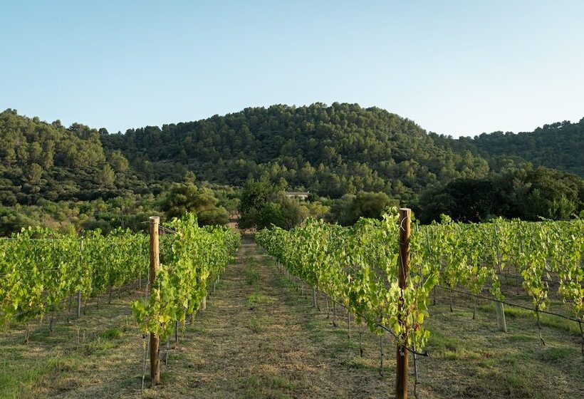 교외 호텔 Rondaia Suites & Villas