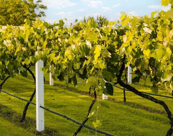 فندق Sonder Cirrus