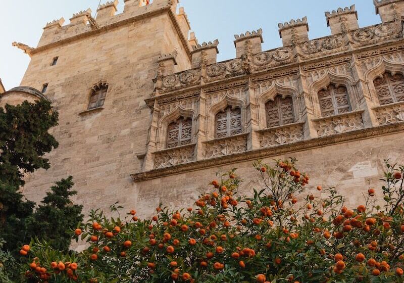 فندق The Valentia Corretgería