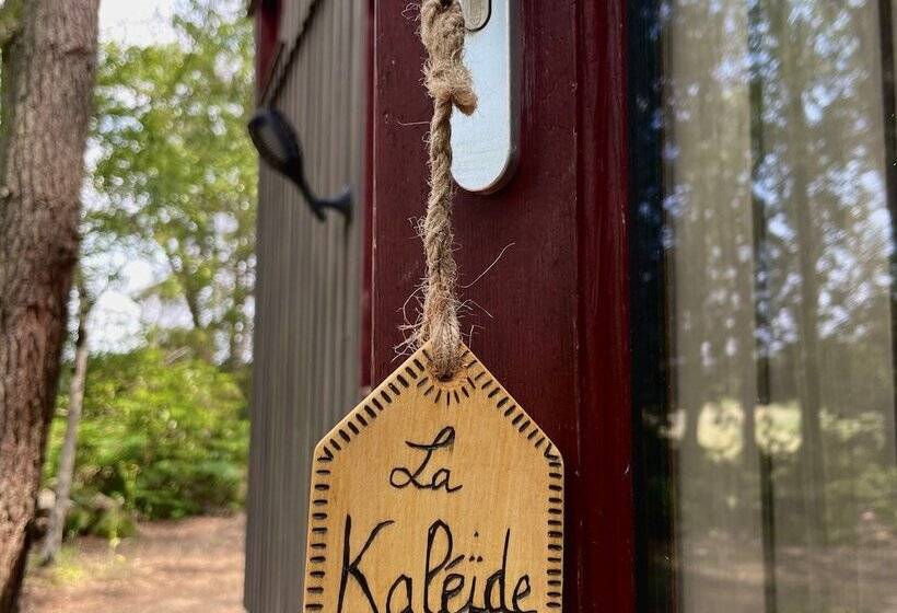 ホテル Tiny Stay Ecolodge