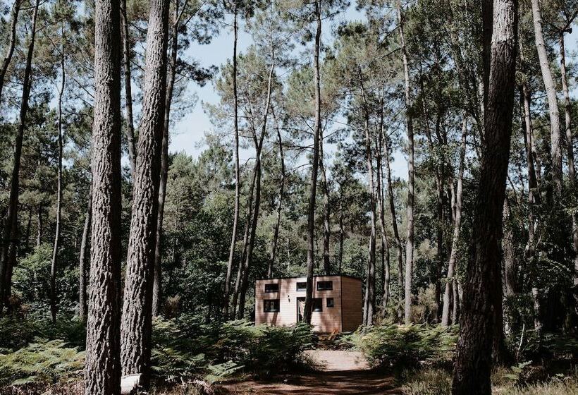 ホテル Tiny Stay Ecolodge