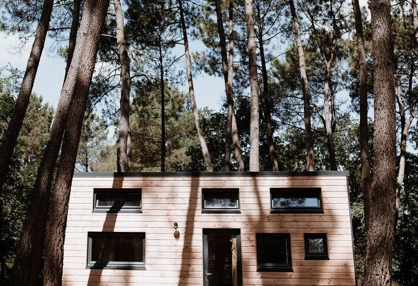 호텔 Tiny Stay Ecolodge