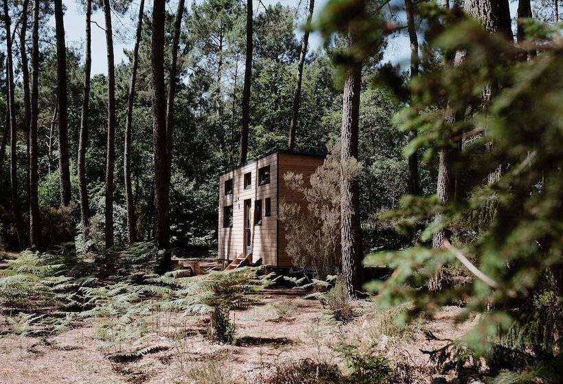 호텔 Tiny Stay Ecolodge