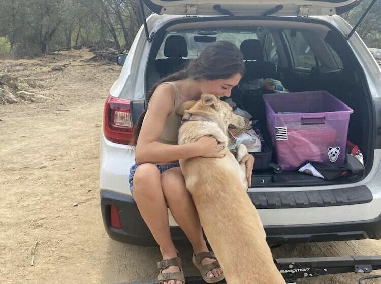 Off Grid 1 Bed Cabin In Yokuts Valley