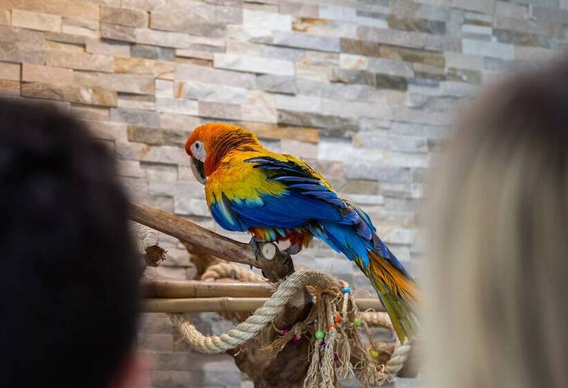 فندق على الطريق Mahalo Diamond Beach