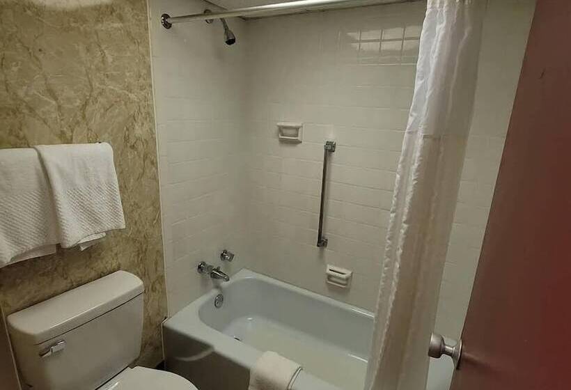 فندق على الطريق Richland Inn