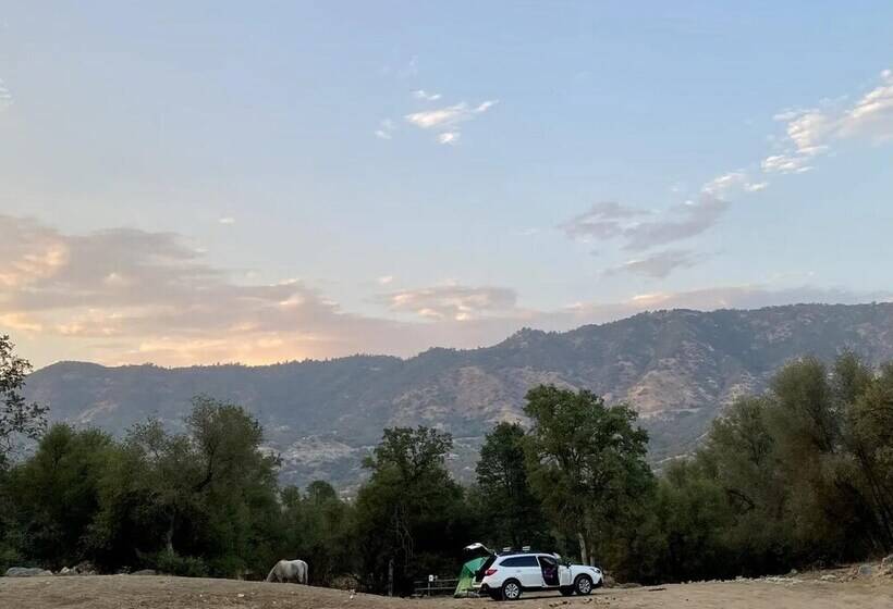 Off Grid 1 Bed Cabin In Yokuts Valley