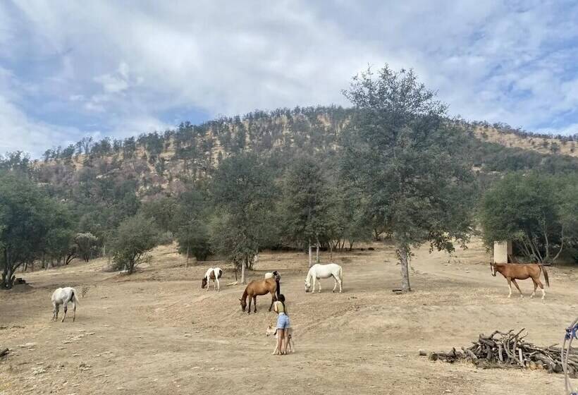 Off Grid 1 Bed Cabin In Yokuts Valley