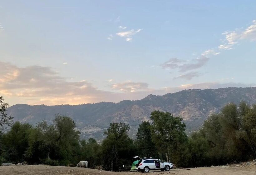 Off Grid 1 Bed Cabin In Yokuts Valley