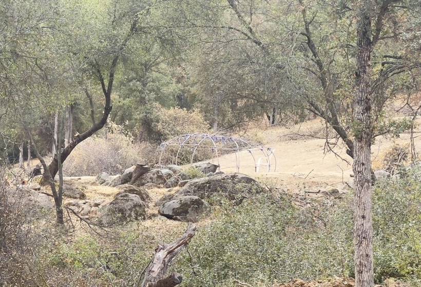 Off Grid 1 Bed Cabin In Yokuts Valley