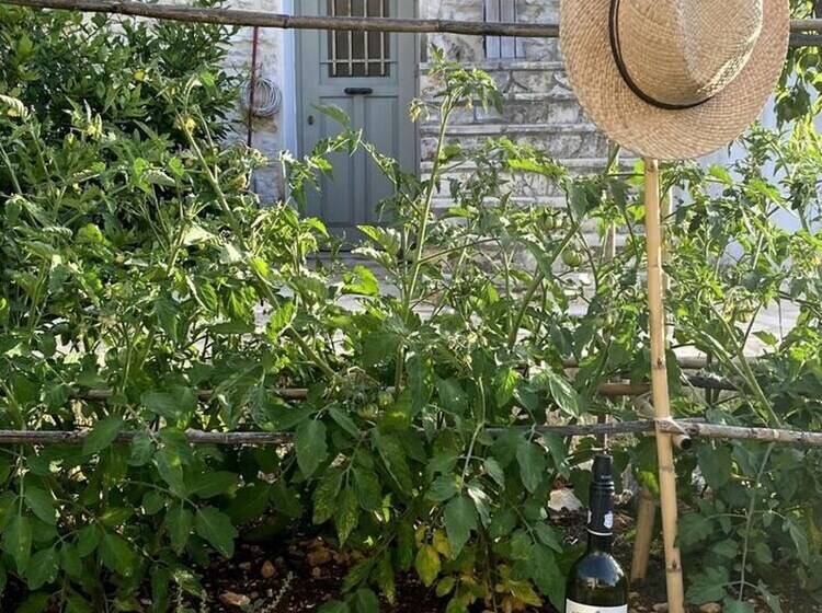 Pelagoo Residence   Amazing Stone House In Kalamos