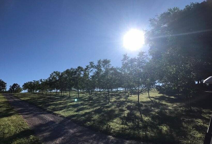 Пансион Les Cabanes Perchées Du Mas Del Bosc