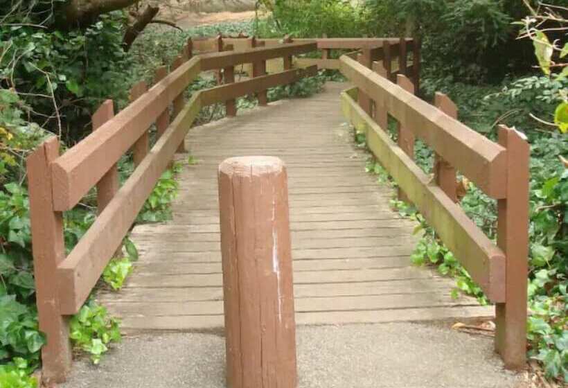 ペンション Pacifica Homes