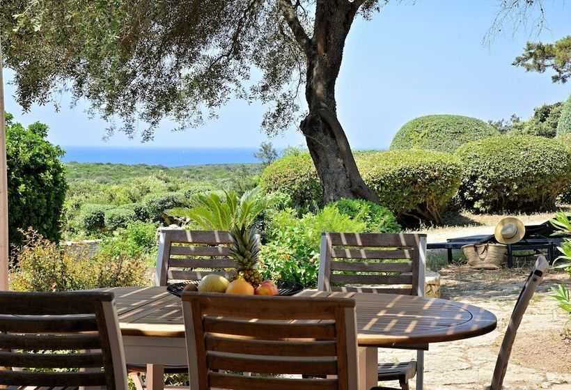 اقامتگاه Résidence Terra Marina