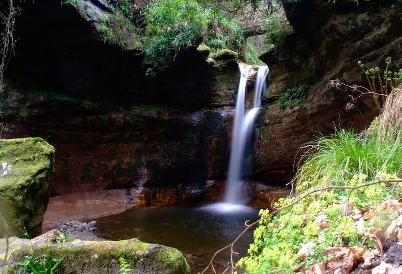 Stunning Premium Yurt In Kelburn Estate Near Largs