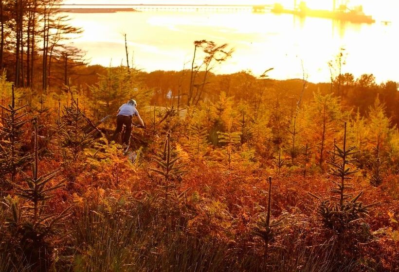 Stunning Premium Yurt In Kelburn Estate Near Largs