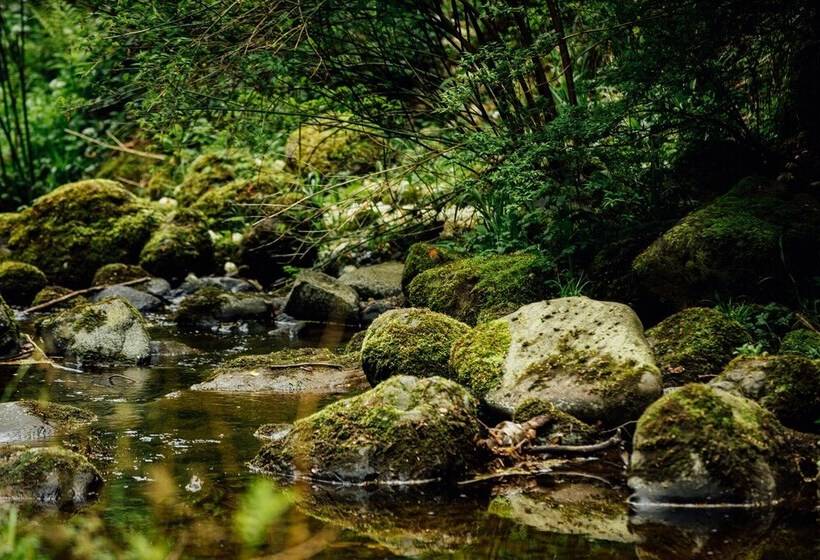 Stunning Premium Yurt In Kelburn Estate Near Largs