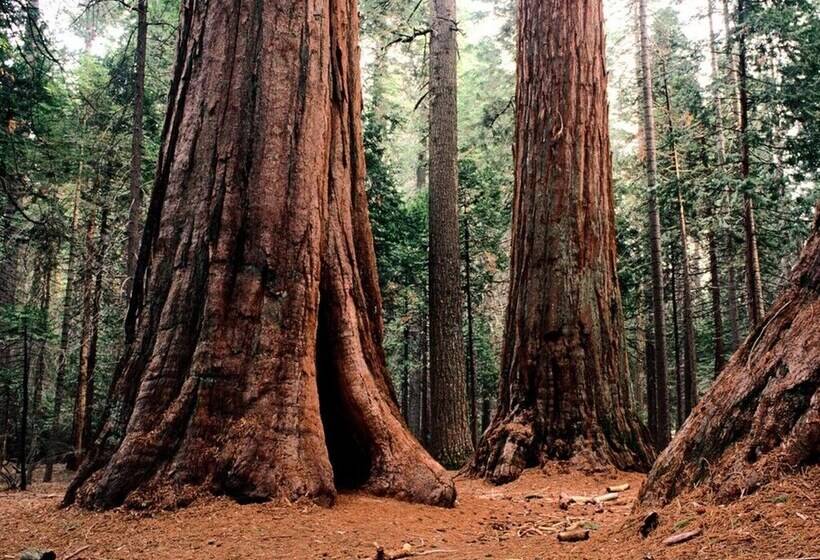 Sweet Retreat Movie Theater, Poolping Pong, Bbq, Summer Swimming