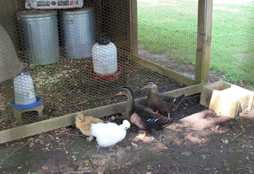 The Sautee Inn Bed & Breakfast