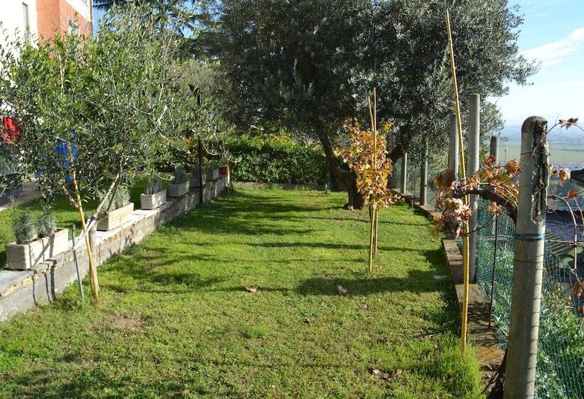 A1 Girasole Bed And Breakfast