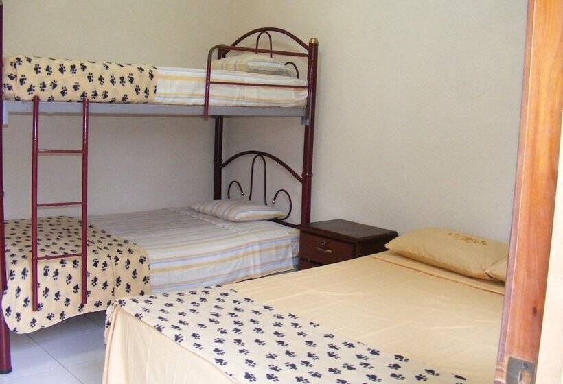 هاستل Hostal Maxima