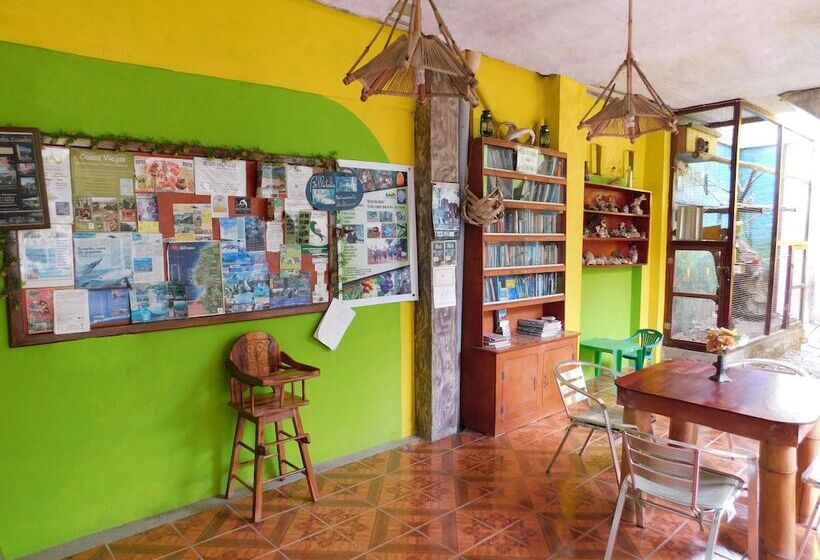 هاستل Hostal Maxima