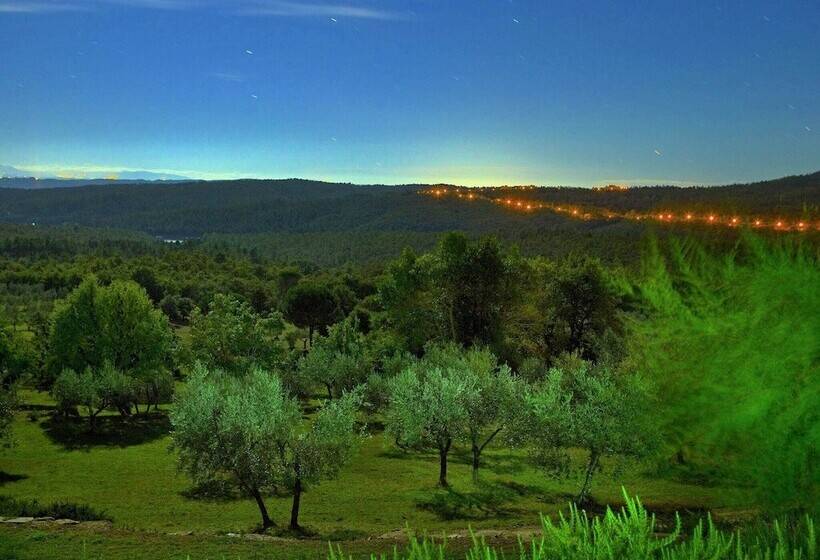 Beautiful Farmhouse In Lucignano With Private Terrace