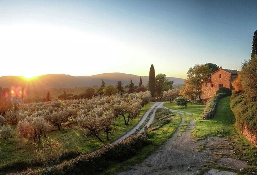 Beautiful Farmhouse In Lucignano With Private Terrace