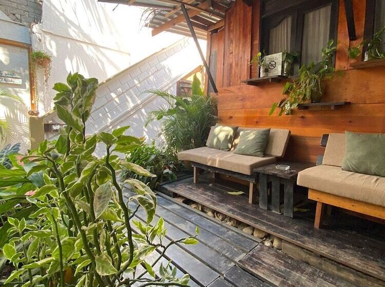 Hostal Chaak   Hostel