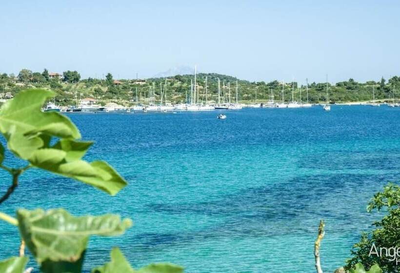 בית מלון כפרי Angelina