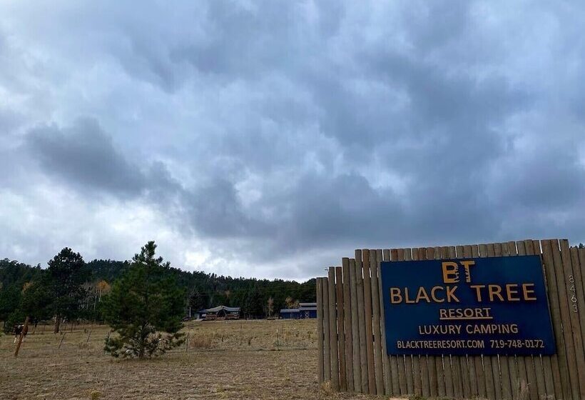 Отель Black Tree Resort   The Lodge