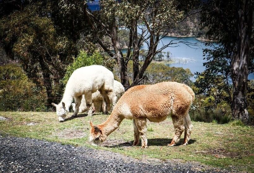 בית מלון כפרי Eagle View Escape
