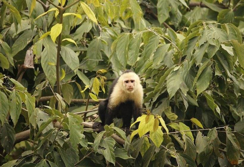 בית מלון כפרי El Paraiso Azul