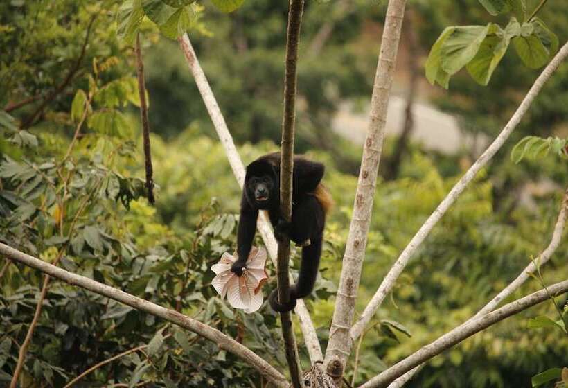 בית מלון כפרי El Paraiso Azul
