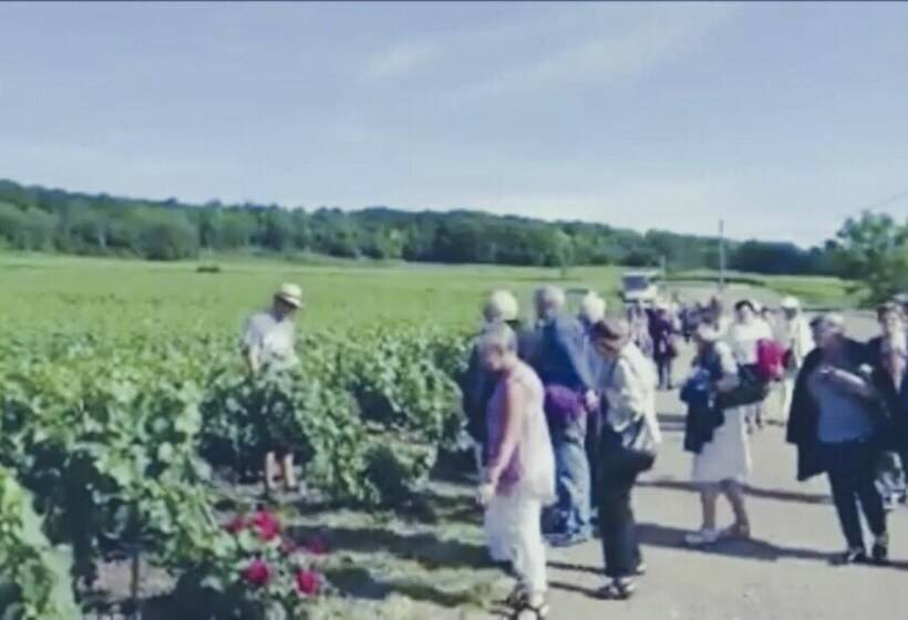 Отель Le Flaubert