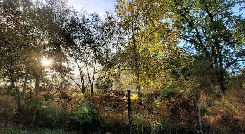 ホテル Les Ourmes